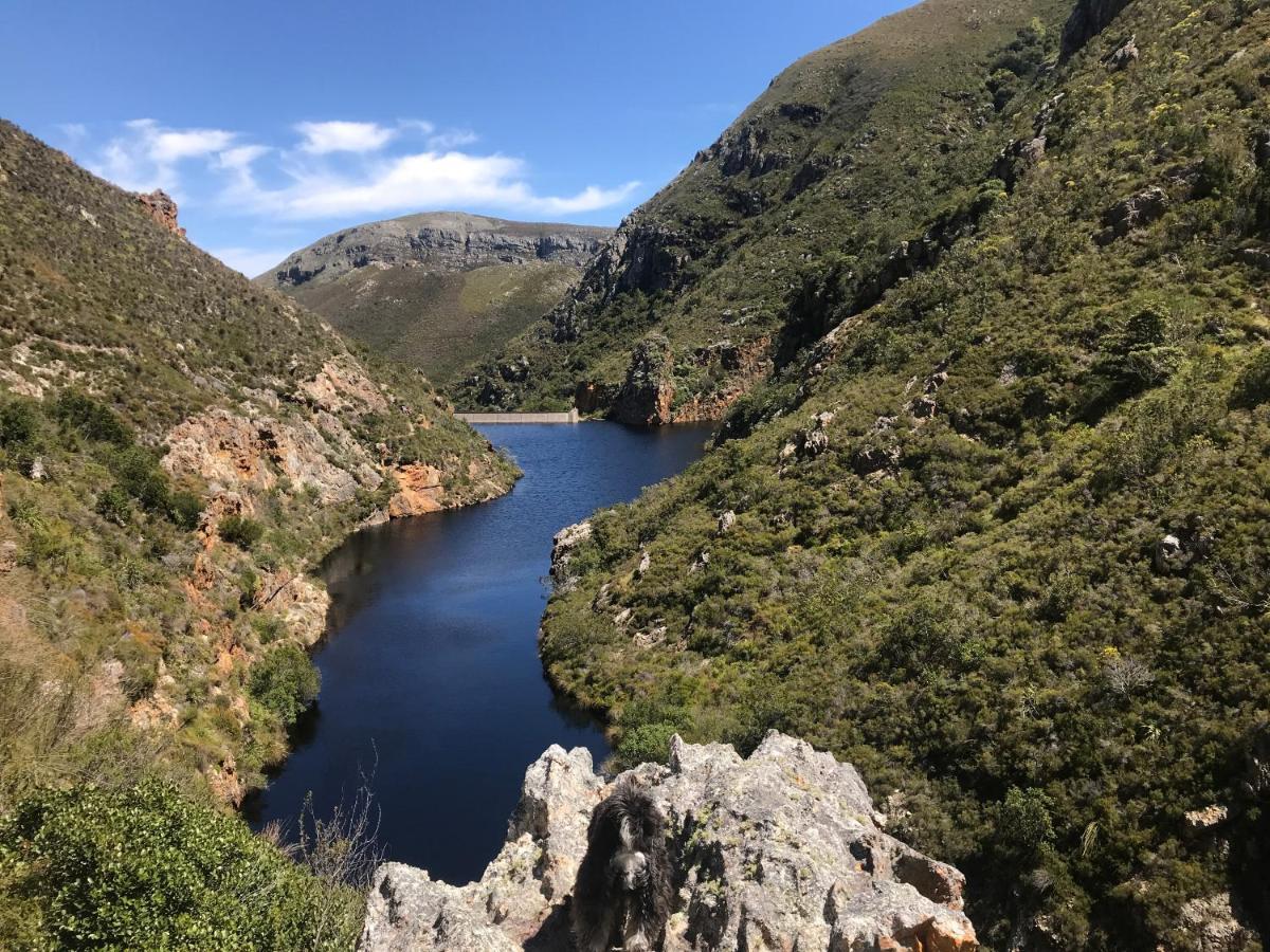 Bird'S View Guest Accommodation Hermanus Bagian luar foto