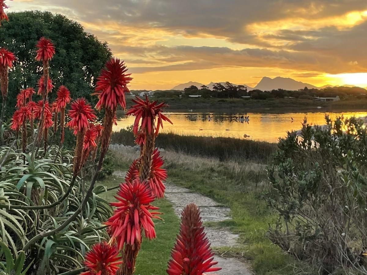Bird'S View Guest Accommodation Hermanus Bagian luar foto