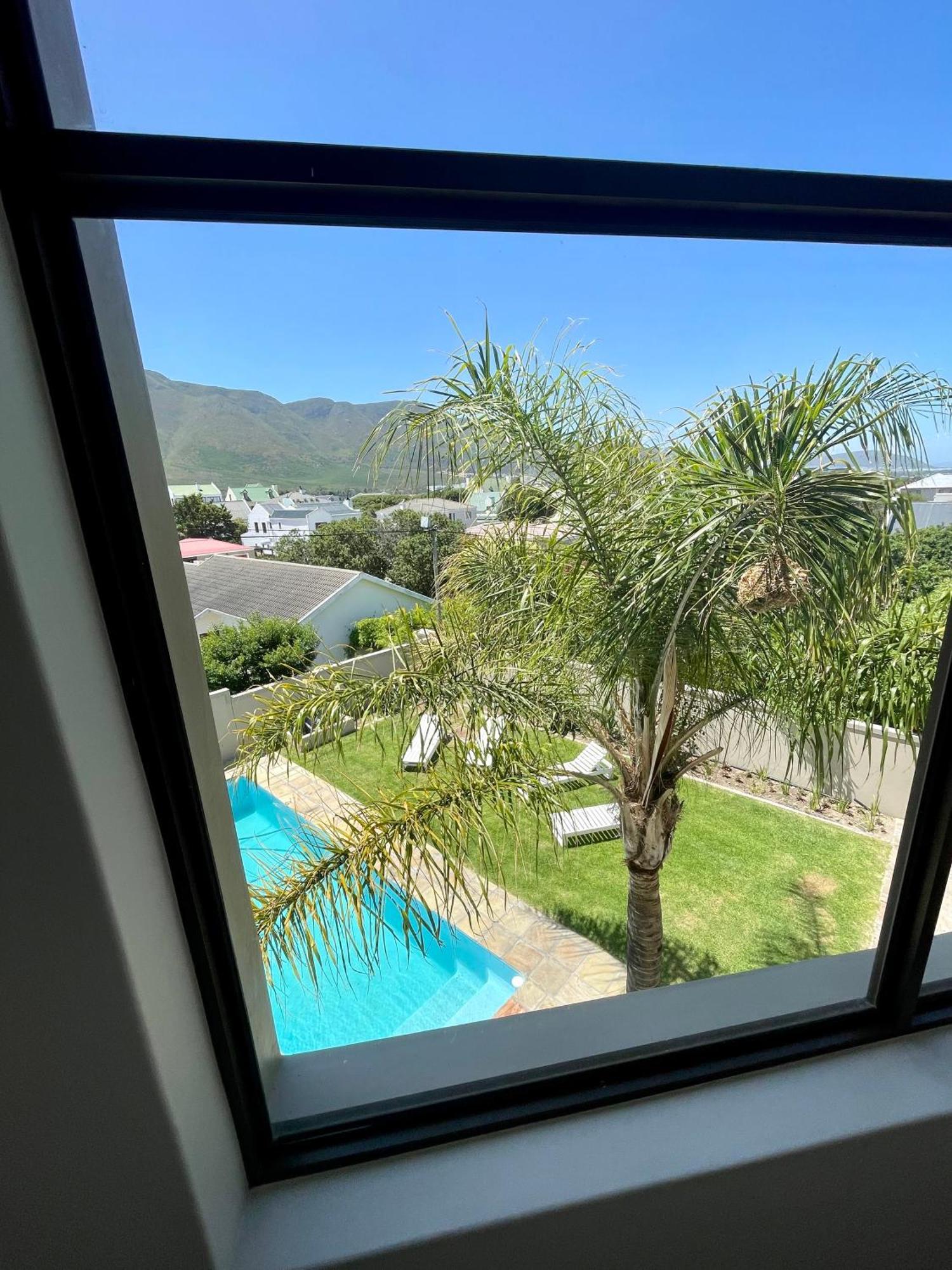 Bird'S View Guest Accommodation Hermanus Bagian luar foto