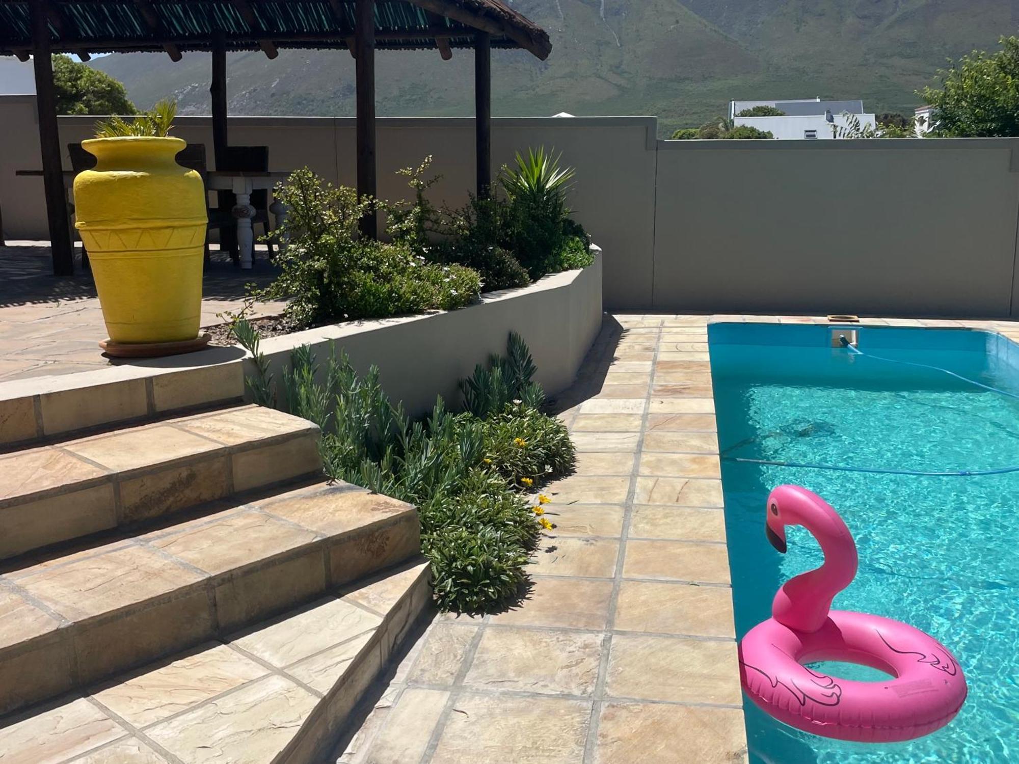 Bird'S View Guest Accommodation Hermanus Bagian luar foto